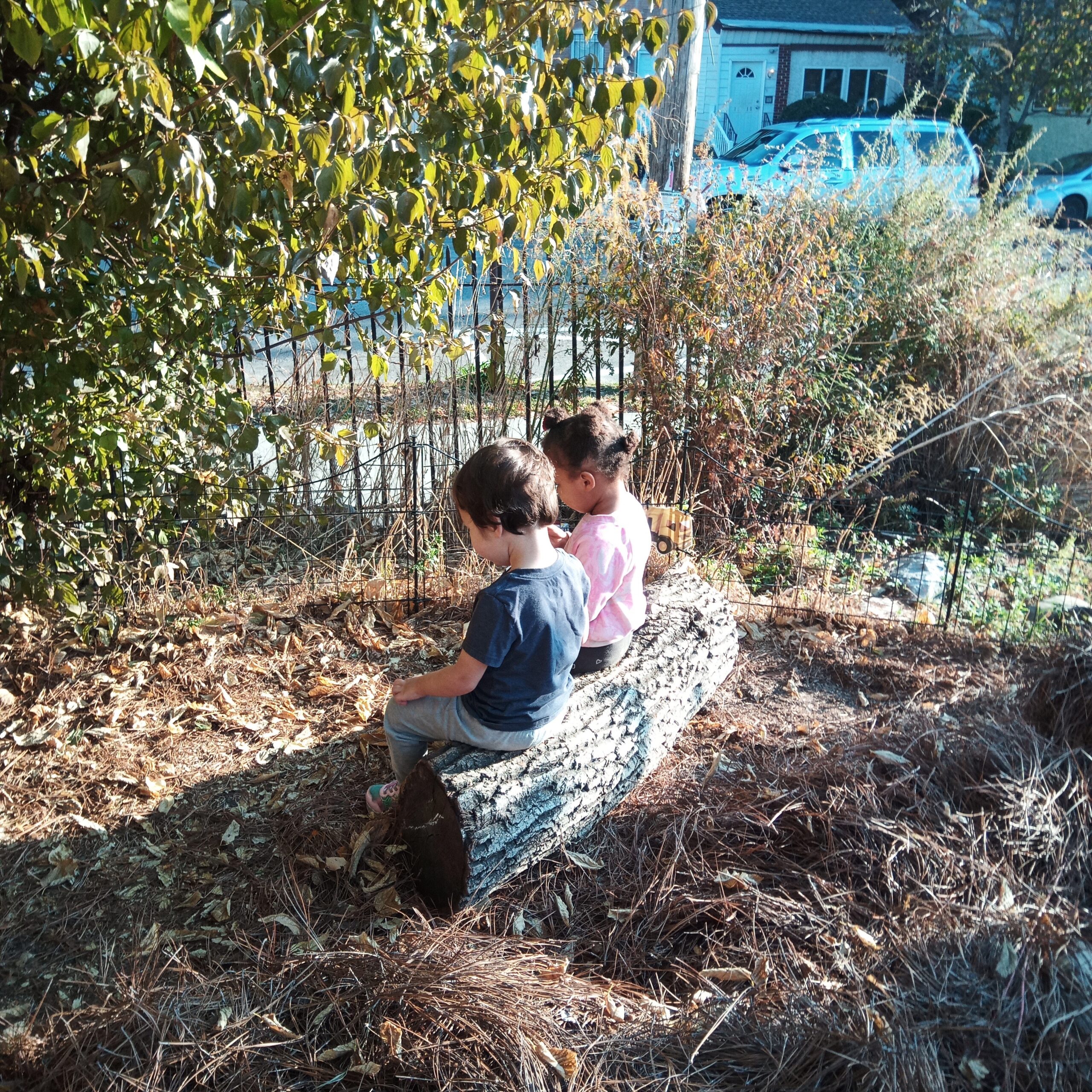 Two pre-k kids sitting on a log in the outdoor play-yard, looking towards the garden plantings on a sunny day.